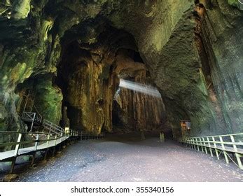 101 Gomantong caves Images, Stock Photos & Vectors | Shutterstock