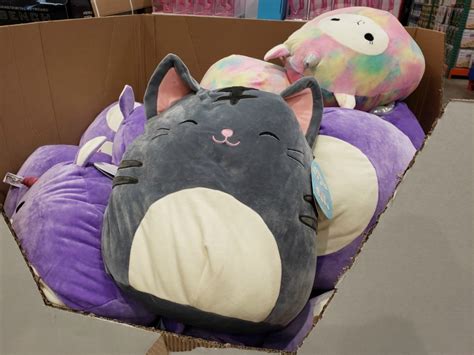 LARGE Squishmallows Plush Only $9.99 | Unicorn, Kitty, or Llamacorn