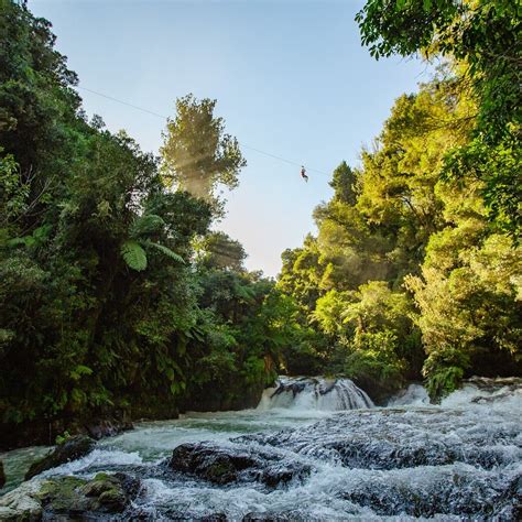 ROTORUA ZIPLINES (2024) All You Need to Know BEFORE You Go (with Photos) - Tripadvisor