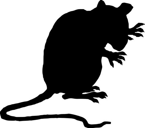 Brown rat Black rat Laboratory rat Mouse Clip art - Evil Rat Cliparts png download - 1261*1115 ...