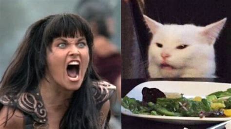 Woman yelling at cat meme generator - moliegypt