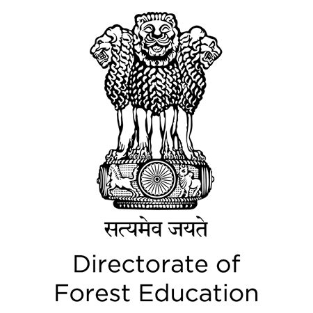 DFE Recruitment 2020 Apply Online Job Vacancies 21 December 2020