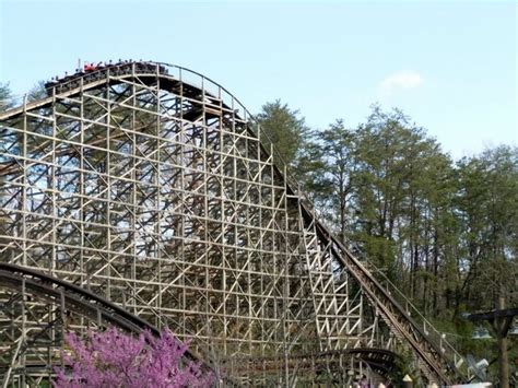 Rollers: Dollywood Roller Coasters