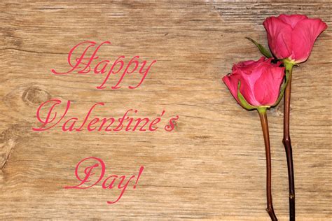 Valentine's Day Pink Roses On Wood Free Stock Photo - Public Domain Pictures