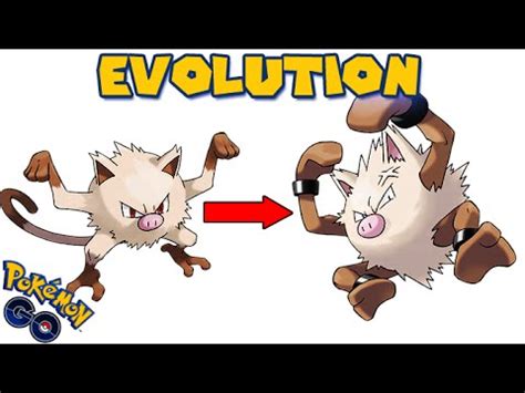 Evolving MANKEY to PRIMEAPE (POKEMON GO EVOLUTION) - YouTube