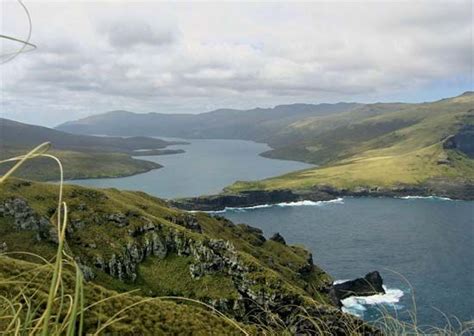 Auckland Islands | Wildlife, Subantarctic, Nature Reserve | Britannica