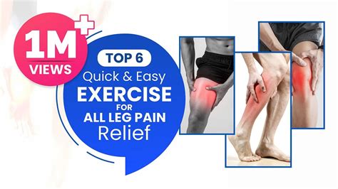 Top 6 Quick and Easy Exercise for All Leg Pain Relief Problems, Seated ...