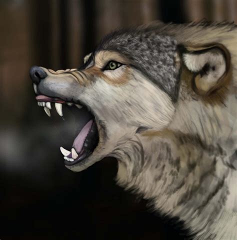 Wolf Digital Painting by ARKK17 on DeviantArt