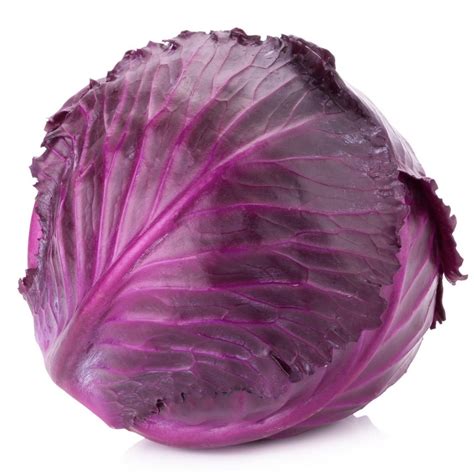 Biviano Direct - Cabbage Red – Whole & 1/2 Cut