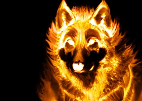 Wolf pics cause im bored :D: Fire Wolf