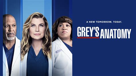 Grey's Anatomy - MaxinneErma