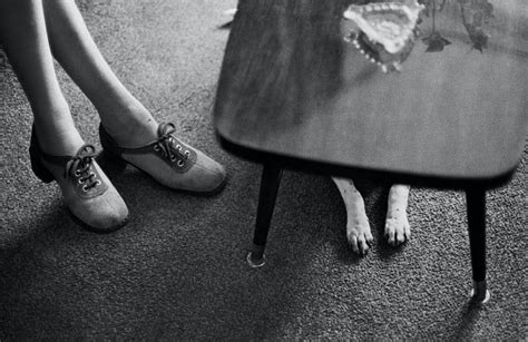 Elliott Erwitt - Elliott Erwitt Dog Dogs 1973 (Elliott Erwitt black and ...