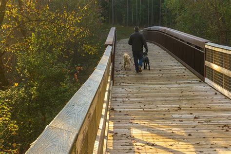 A Pedestrian Bridge Walking - Free photo on Pixabay - Pixabay