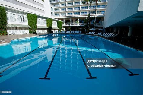 The swimming pool at the Beverly Hilton in Beverly Hills, CA News Photo - Getty Images