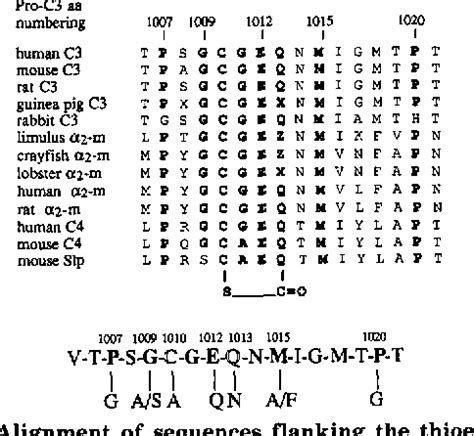 Figure 1 from Structural requirements for thioester bond formation in human complement component ...