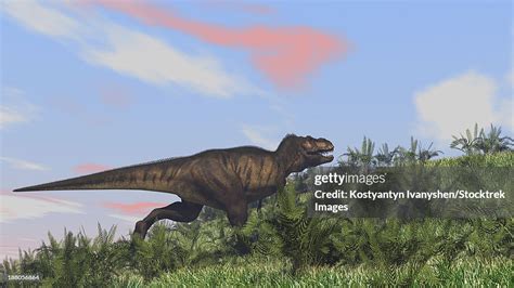 Tyrannosaurus Rex Hunting In An Open Field High-Res Vector Graphic ...