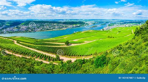 Rudesheim am Rhein Vineyards, Germany Stock Image - Image of bingen ...