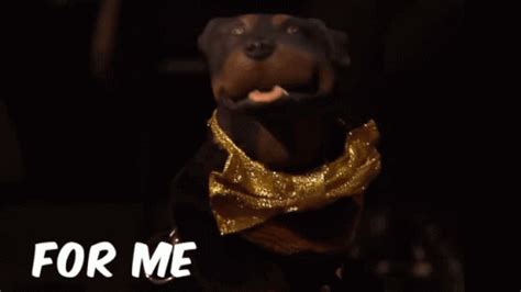 GIF de To Poop On | Tenor