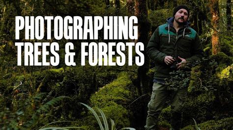 How to Photograph Trees & Forests