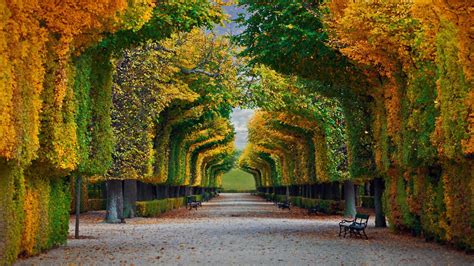 Schönbrunn Palace gardens in Vienna, Austria | Peapix