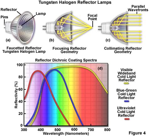 ZEISS Microscopy Online Campus | Tungsten-Halogen Lamps