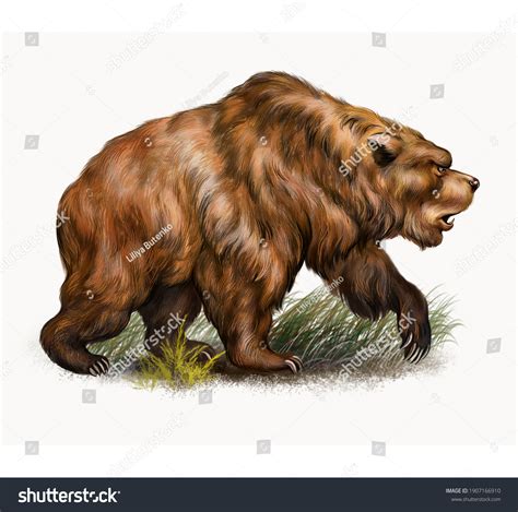 Cave Bear Ursus Spelaeus Realistic Drawing Stock Illustration ...