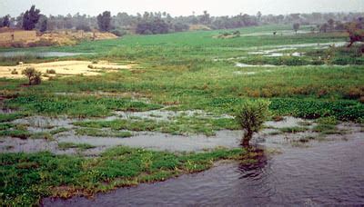 The Nile River in Ancient Egyptian Civilization | Short history website