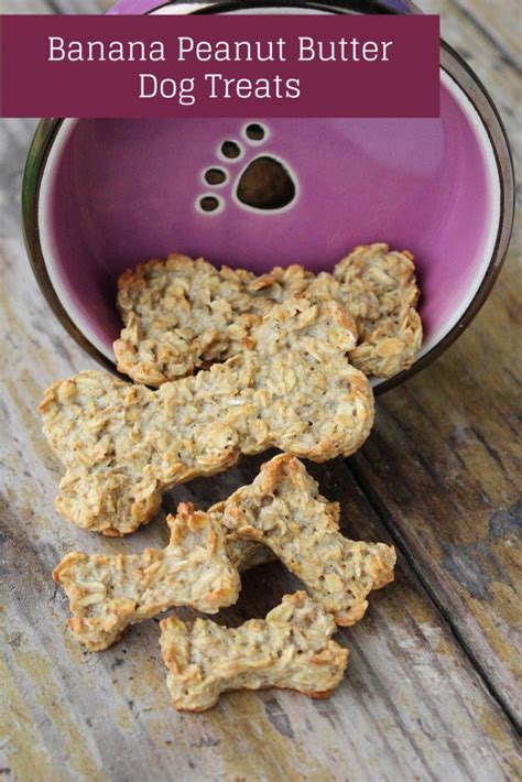 Peanut Butter Banana Dog Treats Recipe - Dog Vills