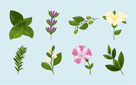 eight spring nature icons 3661635 Vector Art at Vecteezy