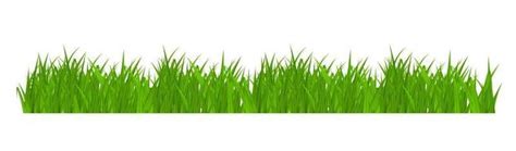 Grass Border Png