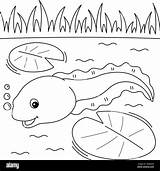 Pollywog Coloring Pages sketch template