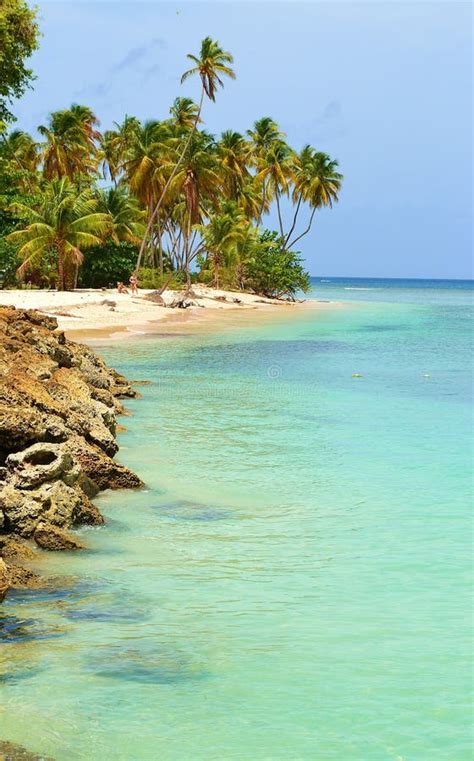 Pigeon Point in Trinidad and Tobago Stock Image - Image of caribbean, cruise: 105348339