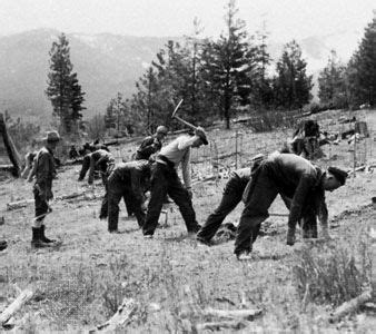 Civilian Conservation Corps | United States history | Britannica.com