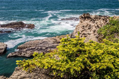 Shore Acres State Park 2018 | State parks, Oregon coast, Coast