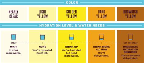 Urine Colour Chart Pee Color Chart Water Intake Chart Pee | The Best ...