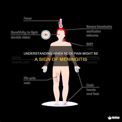 Understanding When Neck Pain Might Be A Sign Of Meningitis | MedShun