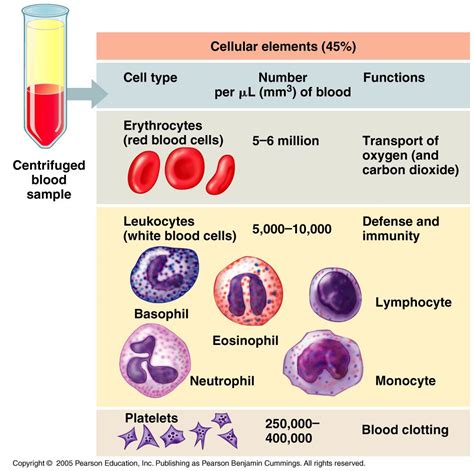 Blood Products Regulations In India Presentation