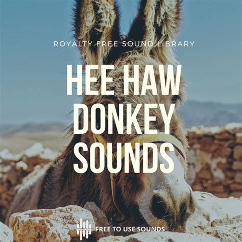 Royalty Free Donkey Sound Effects! Hee Haw! | freetousesounds