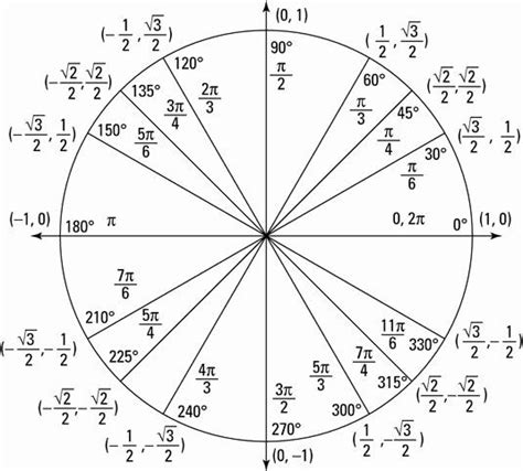 50 Unit Circle Practice Worksheet in 2020 | Precalculus, Math methods, Calculus