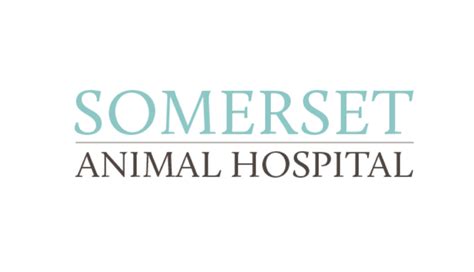 Somerset Animal Hospital - Somerset-Pulaski Chamber of Commerce