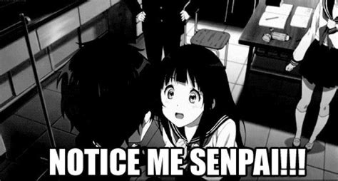 Notice me Senpai | Anime memes, Memes, Anime memes funny