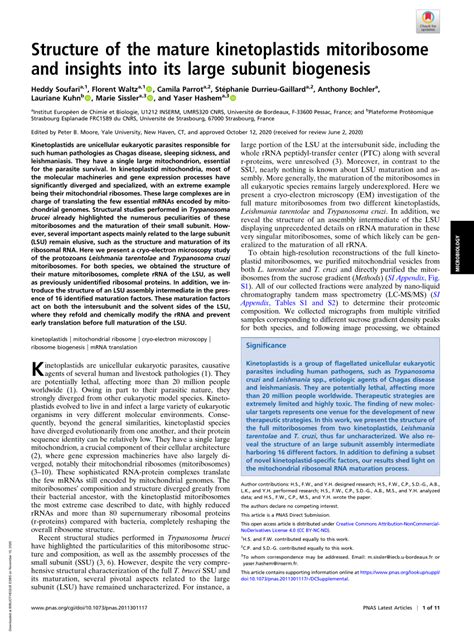 (PDF) Structure of the mature kinetoplastids mitoribosome and insights into its large subunit ...