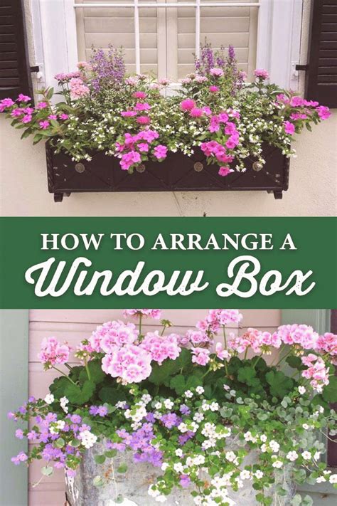 How to Arrange a Window Box Crocker Nurseries How to Arrange a Window Box Crocker Nurserie ...