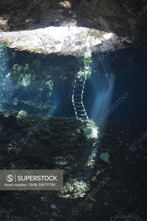 Gran Cenote underwater cave, Yucatan Peninsula, underwater cave, Mexico, Central America ...