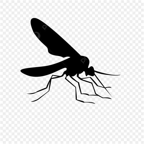 Mosquito Silhouette Vector PNG, Mosquito, Mosquito Clipart, Template Vector Free Template PNG ...