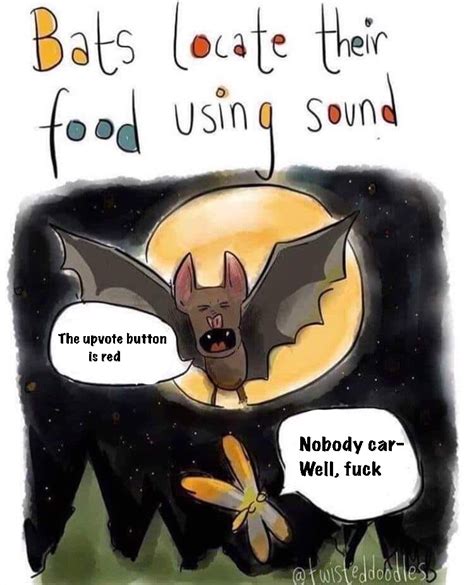 This bat meme : r/dankmemes