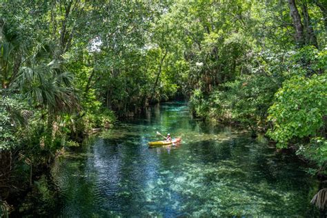 How to Visit Shark Valley in Everglades National Park - That Adventure Life