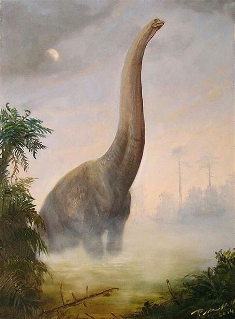 *Brachiosaurus. Artwork by Petr Modlitba | Prehistoric animals ...