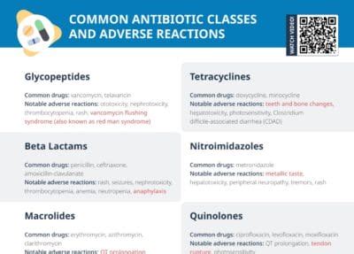 Common Antibiotics [+ Free Cheat Sheet] | Lecturio Nursing