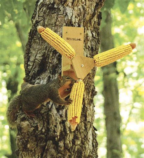 Hang this whimsical feeder on a tree and add a corn cob or other treat, then watch your ...